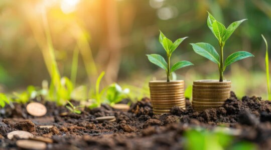 transition écologique