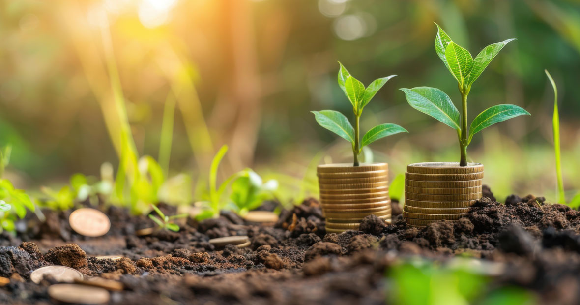 transition écologique